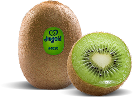 Kiwi verde