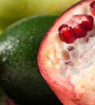 Frutta e verdura, la Top 6 dell’inverno!