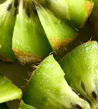 I Love Kiwi!