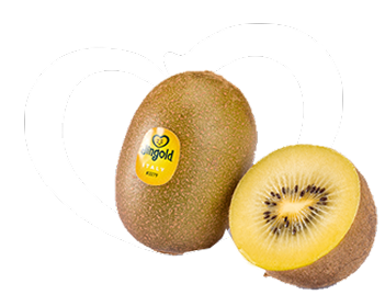 kiwi-jintao-box