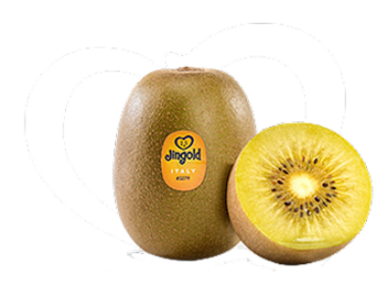 kiwi-jinyan